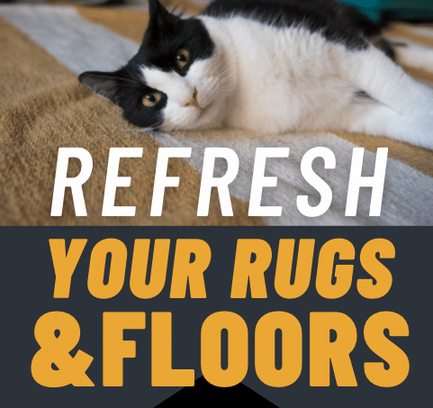 You are currently viewing Refresh Your Rugs & Floors