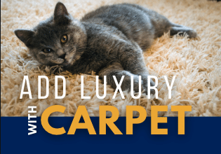 You are currently viewing Add Luxury With Carpet!